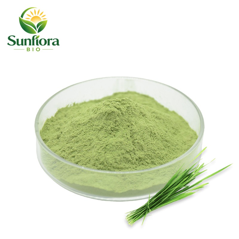 BCI Supply USDA Kosher Halal Certified Barley Grass Powder 100% Natural Superfood for Energy Bulk Supply