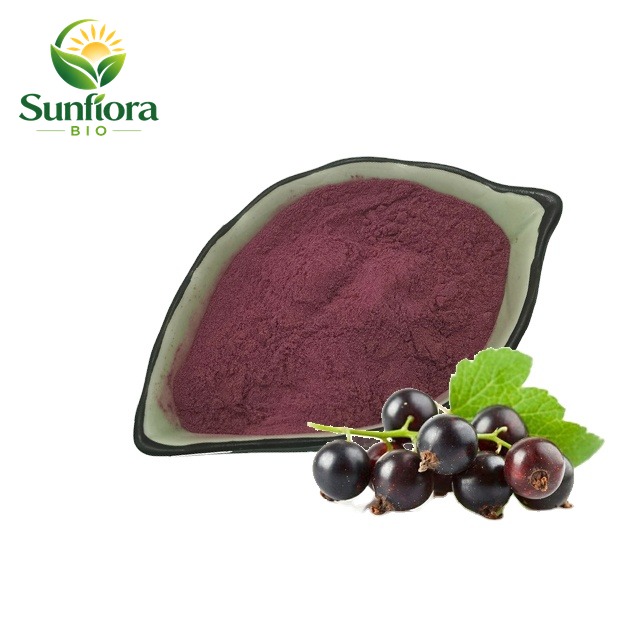 Pure Natural Currant Juice Powder, Black Currant Extract Powder,  Anthocyanins