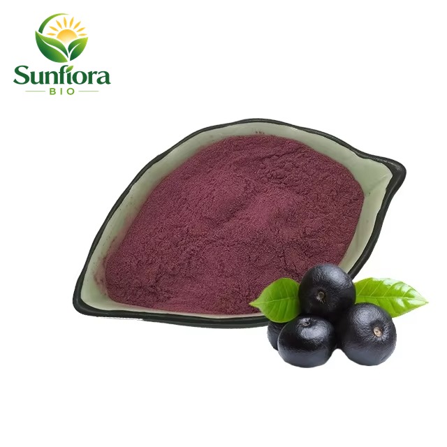 Oem Organic Acai Berry Powder Brazil 100% Natural Dried Acai Juice Powder