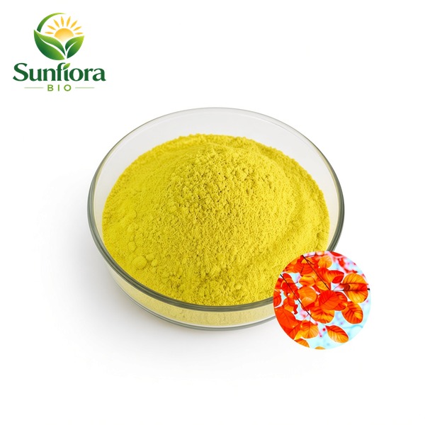 Cotinus Coggygria Extract Fisetin Powder