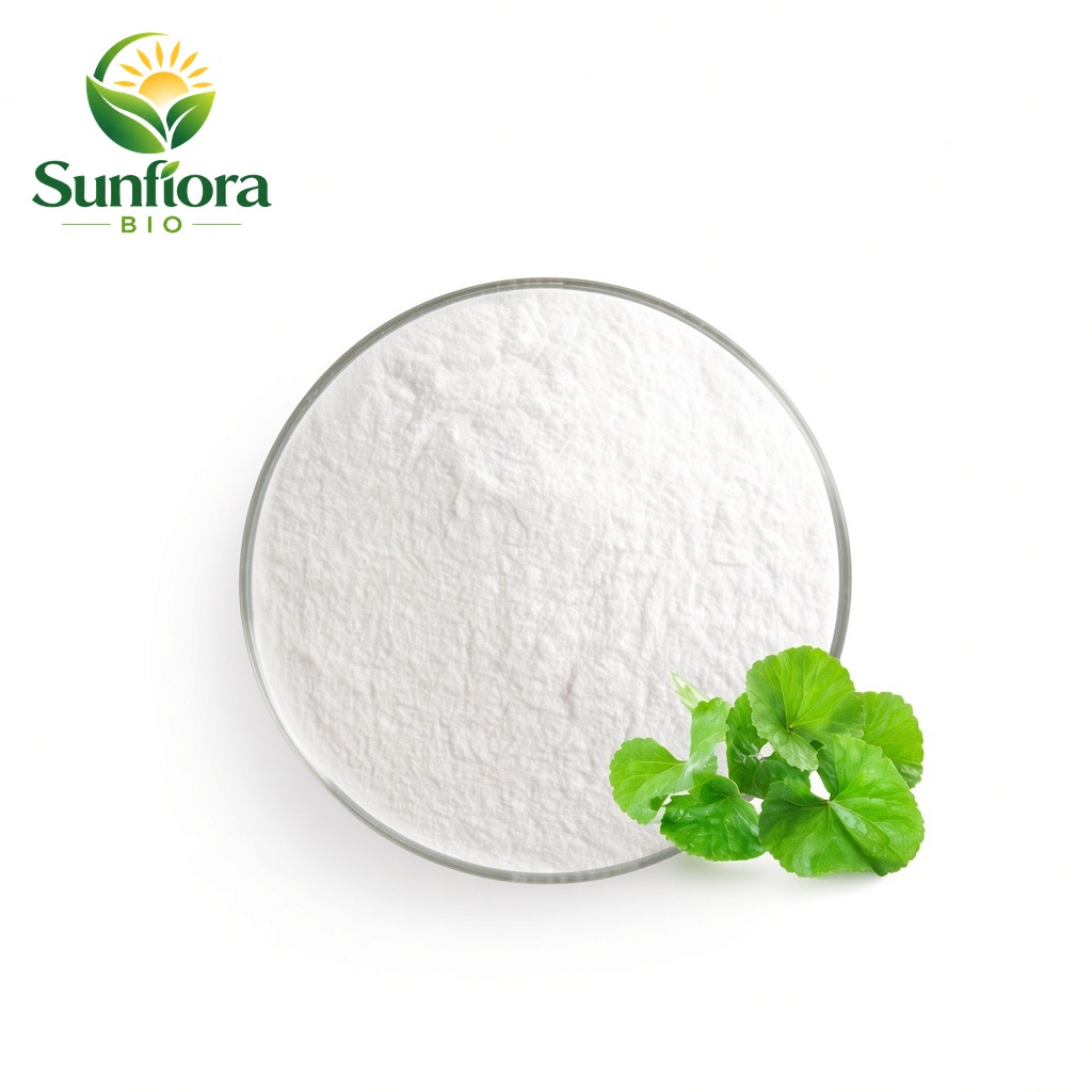 Centella Asiatica Extract/Gotu Kola Extract Powder