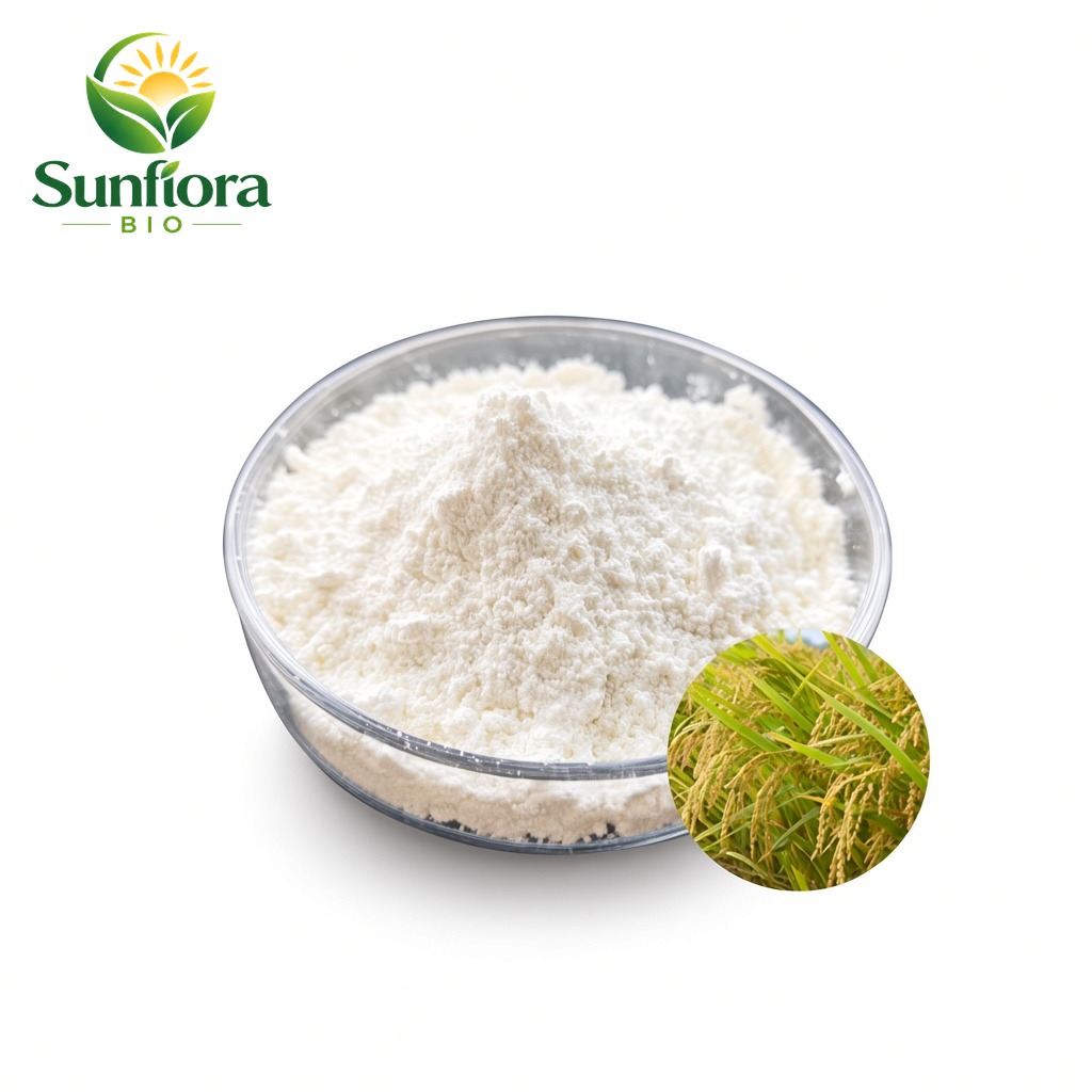 Rice Bran Extract Ferulic Acid Powder