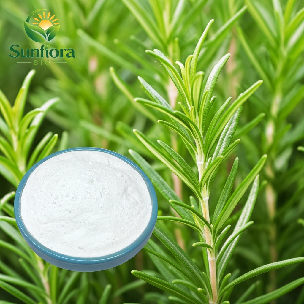 Ursolic Acid Powder