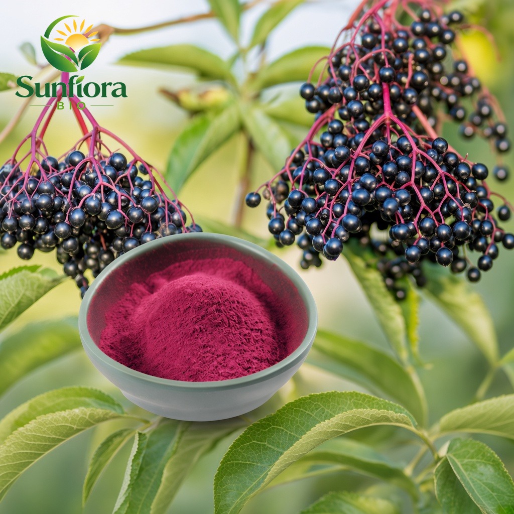 Organic Elderberry Powder