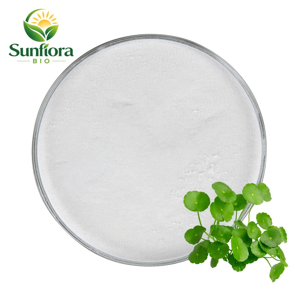 Cosmetic Grade Gotu Kola Centella Asiatica Extract CAS 18449-41-7 90% Madecassic Acid Powder for Serum Repair Cream Care Mask