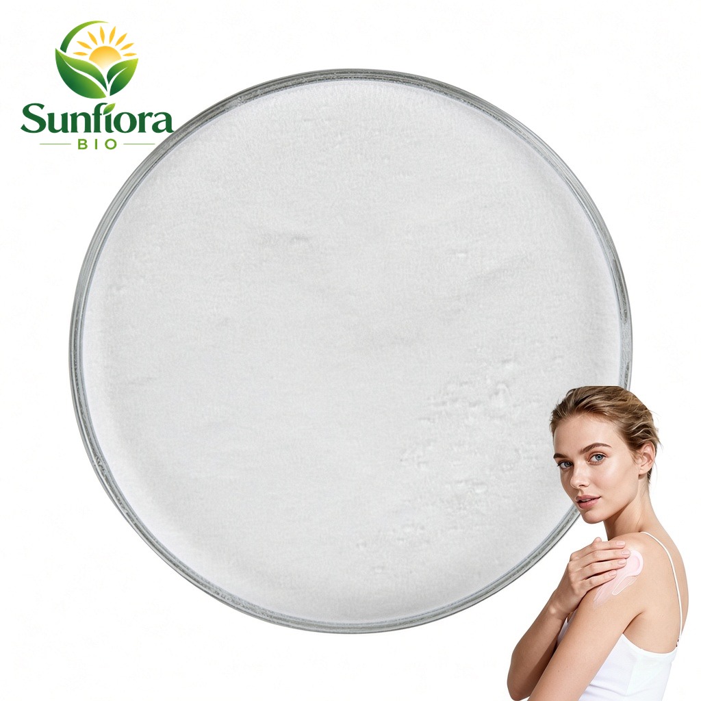 Cosmetic Grade Willow Bark Extract CAS 69-72-7 2-Hydroxybenzoic Acid 99% Pure Salicylic Acid Powder for Ointment / Cream/Soap