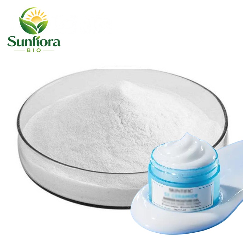 Cosmetic Grade 99% Hydrolyzed Silk Protein Powder Silk Amino Acids CAS 96690-41-4 Materials Hydrolyzed Silk Amino Acids Powder