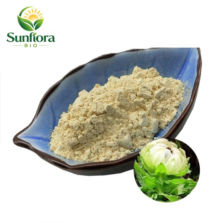 BCI Supply 100% Pure Natural Water-soluble Snow Lotus Extract 0.5% Rutoside Saussurea Extract  Powder for Skincare