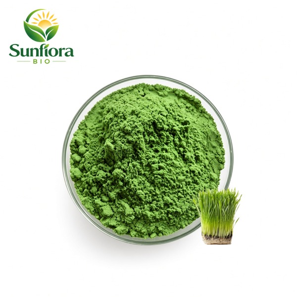 Organic Wheat Grass（Juice）Powder