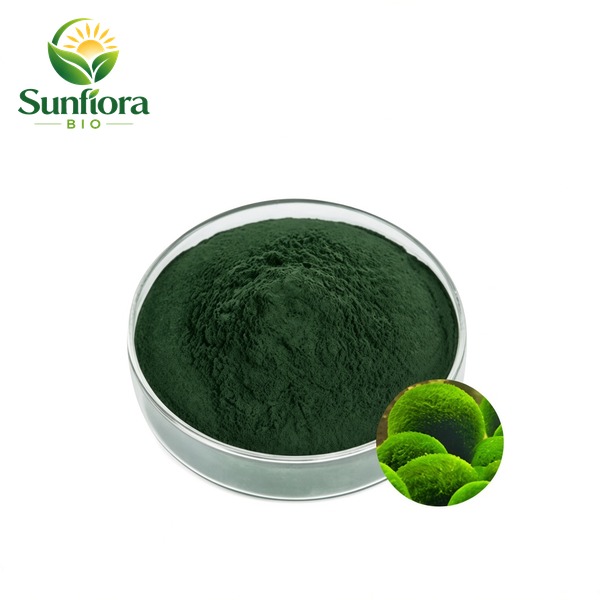 Organic Chlorella Powder