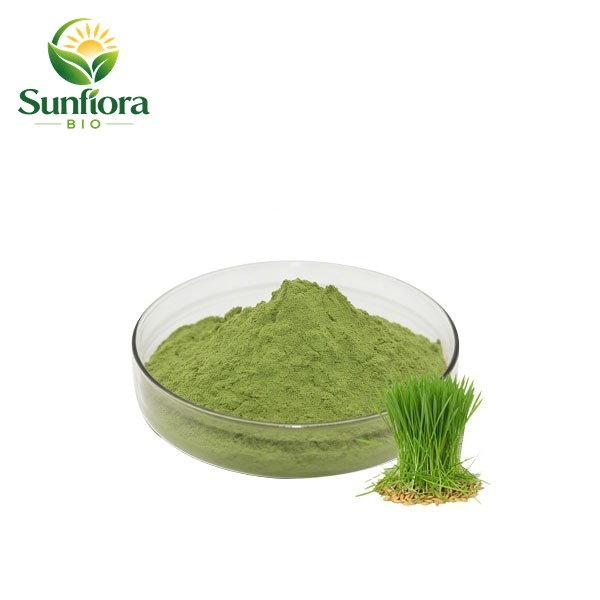 Organic Barley Grass (Juice) Powder