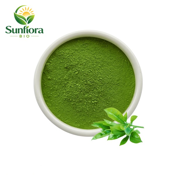 Matcha Powder