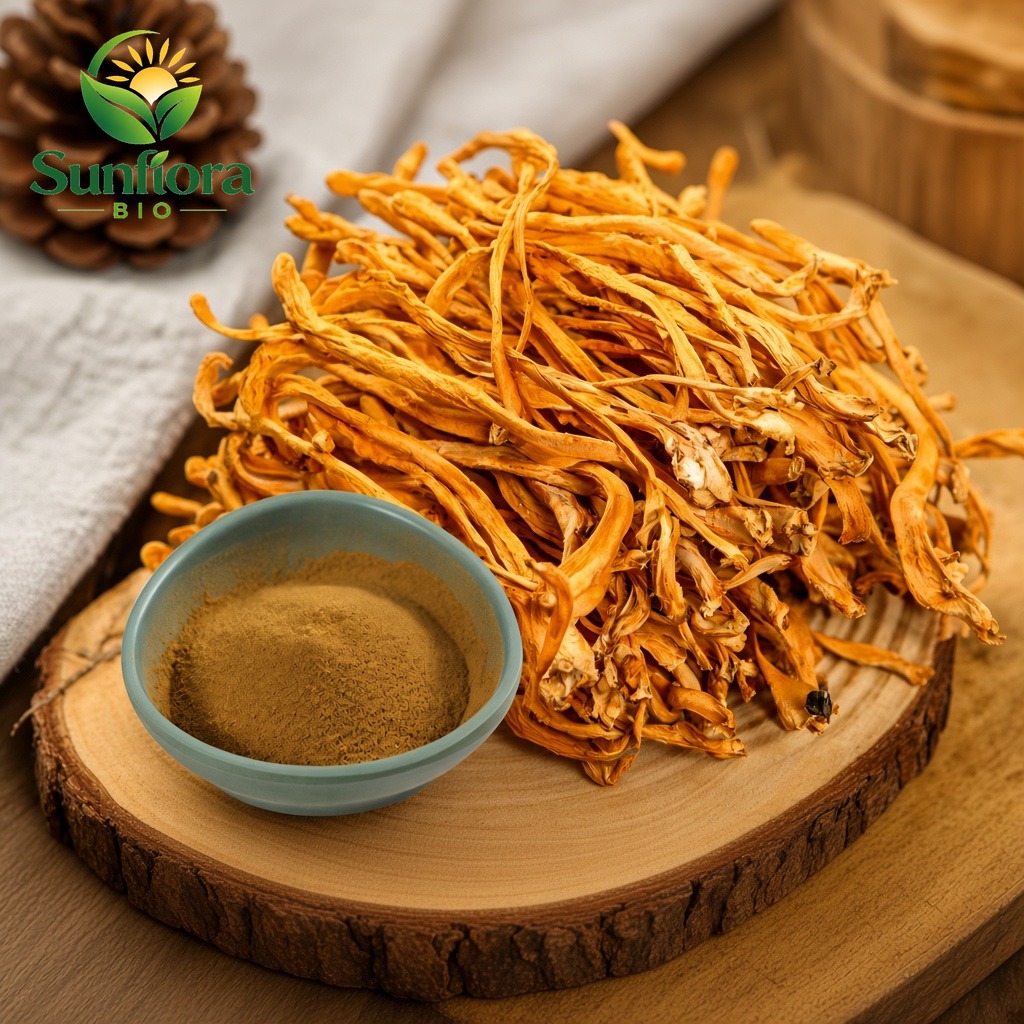 Organic Cordyceps Militaris Powder