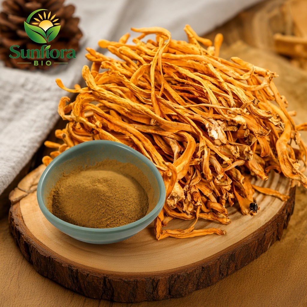 Organic Cordyceps Extract