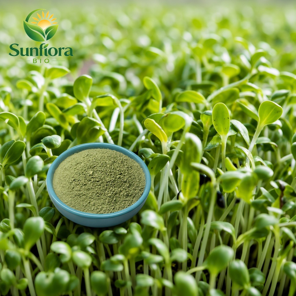 Organic Alfalfa Juice Powder