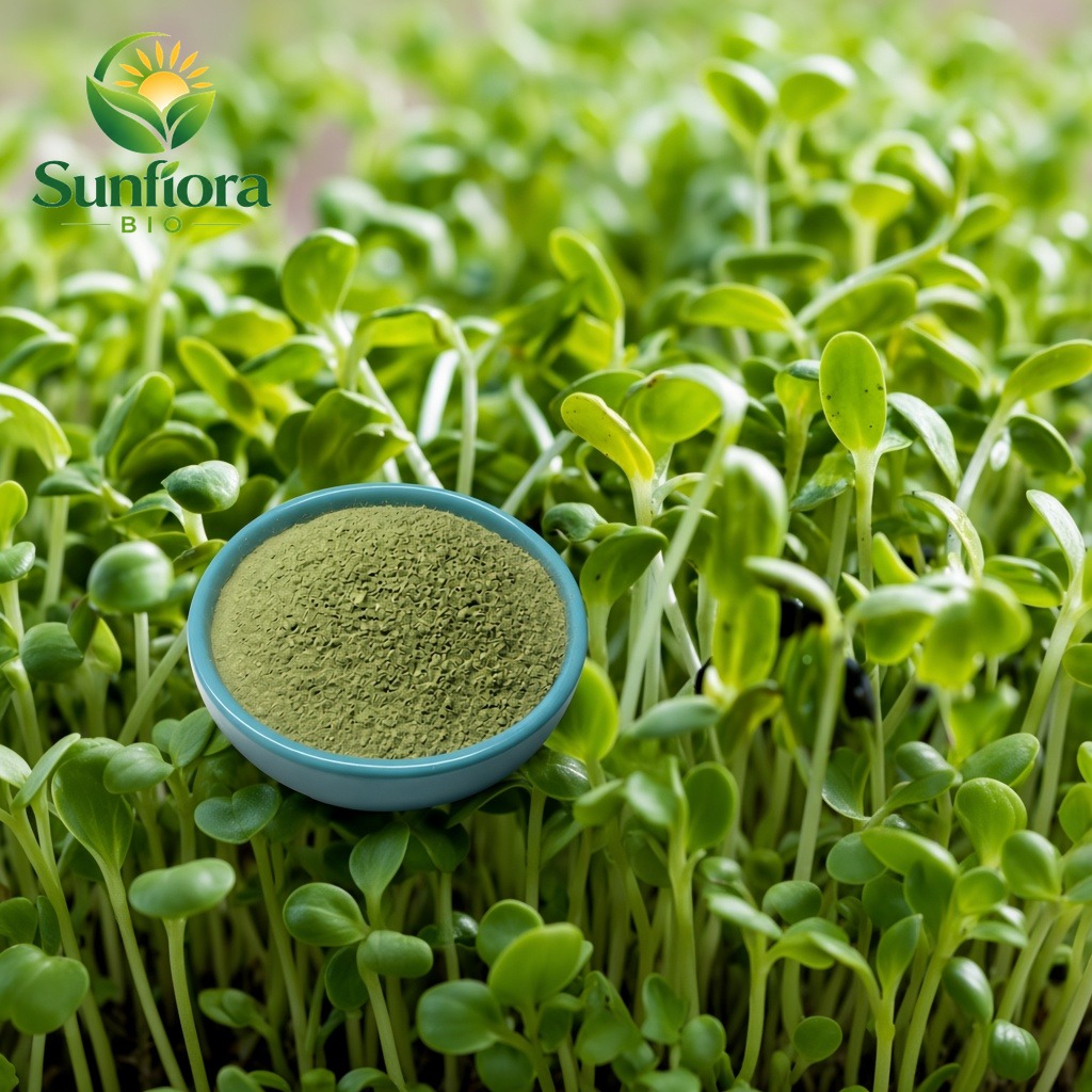 Organic Alfalfa Grass Powder
