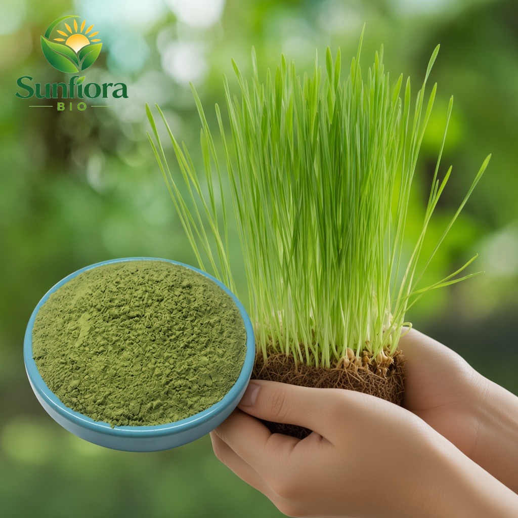 Organic Wheat Grass Powder