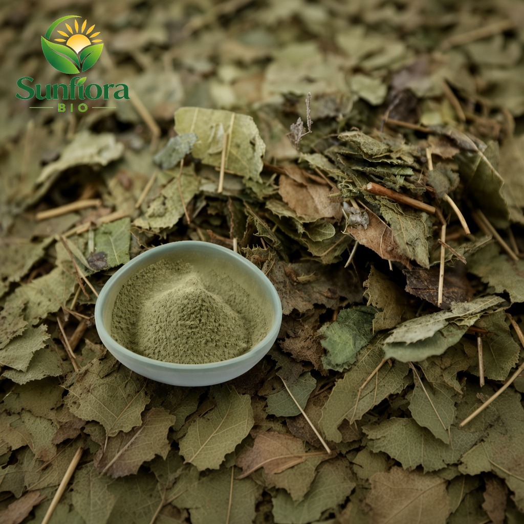 Organic Epimedium Powder